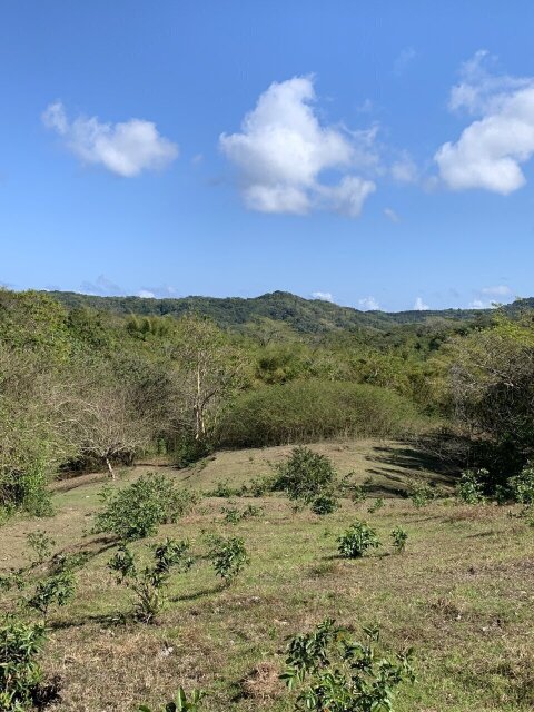 11 Acre Hill Top With Gentle Slope To River