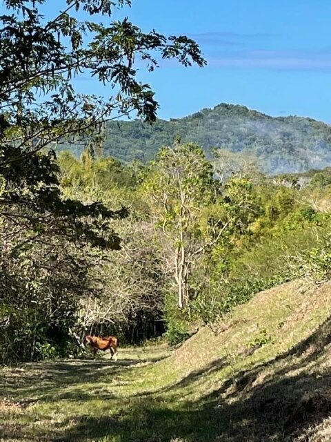 11 Acre Hill Top With Gentle Slope To River