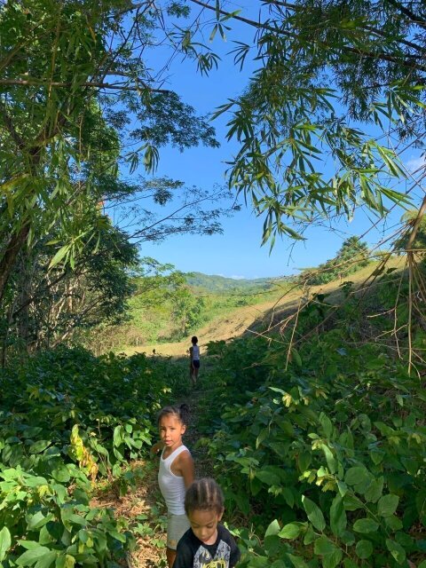 11 Acre Hill Top With Gentle Slope To River