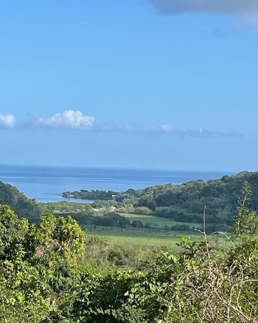 11 Acre Hill Top With Gentle Slope To River