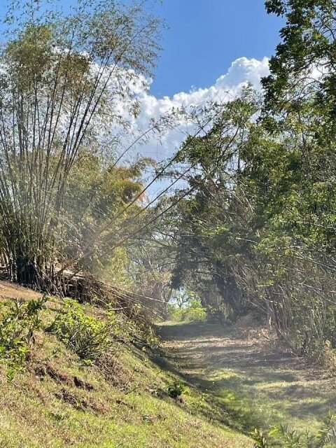 11 Acre Hill Top With Gentle Slope To River