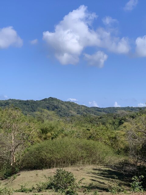 11 Acre Hill Top With Gentle Slope To River