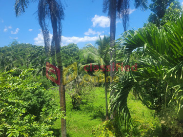 3.8 Acres Land + River, 3 Bed  2 Bath, Fruited