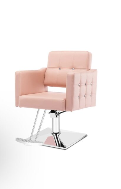 Salon Chair