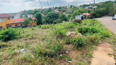 Land For Sale In Green Acres Spanish Town