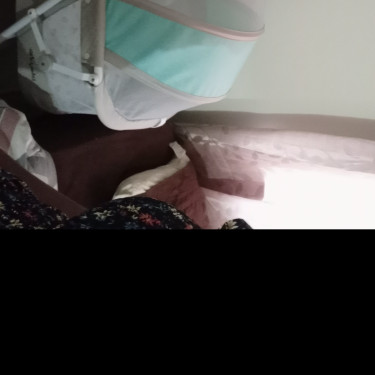 Bassinet 