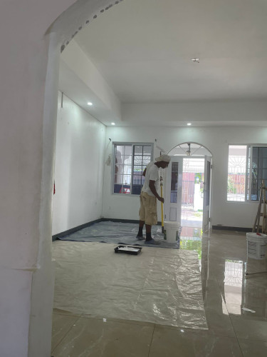 Professional Painting Services 