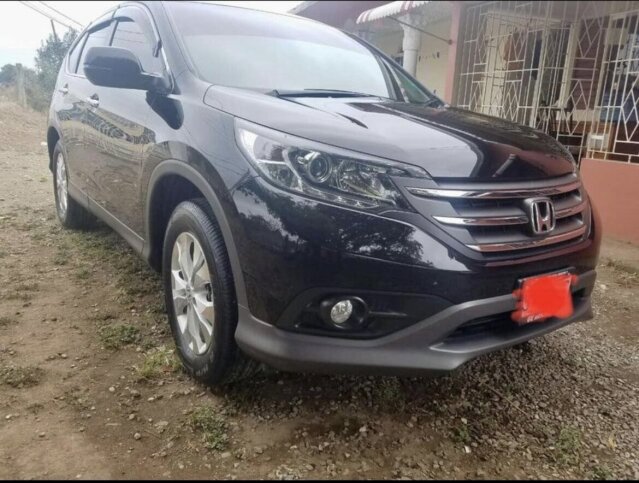 SUV N Car For Renting