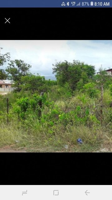 1/2 Acre Land For Sale South St.Elizabeth 4284933