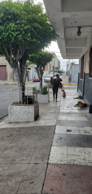 Commercial Property For Sale