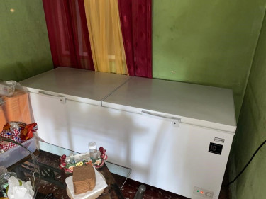 Mastertech Deep Freezer