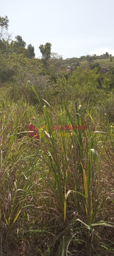 5.5 ACRES OF BUILD-ABLE LAND FOR SALE - REDUCED Land Browns Hill/Bellevue