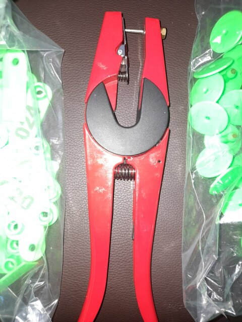 Ear Tags