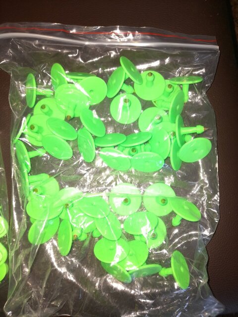 Ear Tags
