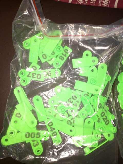 Ear Tags