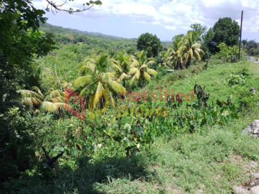 5 Bedroom 3 BATH 10 ACRES WITH RIVER $50MILLION