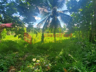 3/4 Three Quarter ACRE