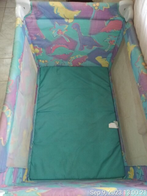 Pack N Play Bassinet