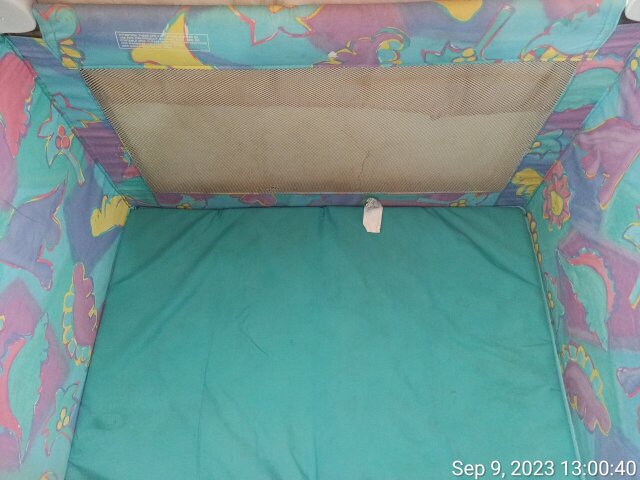 Pack N Play Bassinet