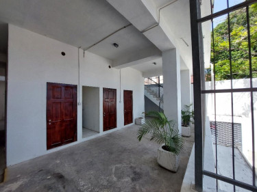 Commerical Rental