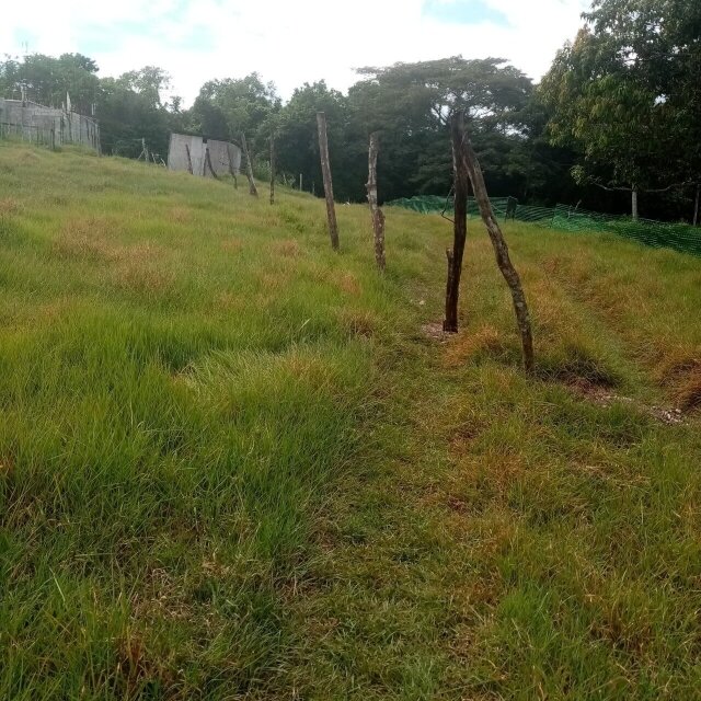 1/4 Acre Prime Residential
