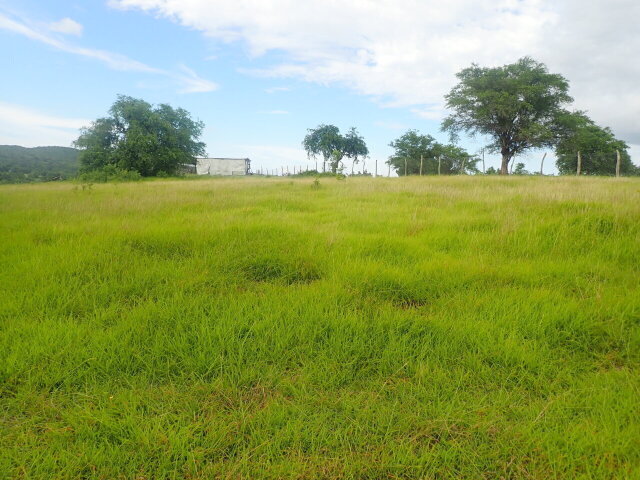 1/4 Acre Prime Residential