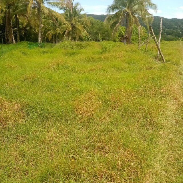 1/4 Acre Prime Residential
