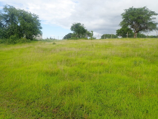 1/4 Acre Prime Residential
