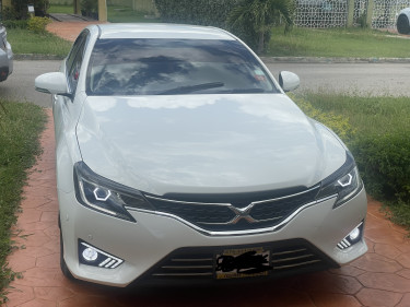 2015 Mark X Premium