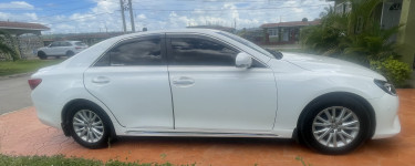 2015 Mark X Premium