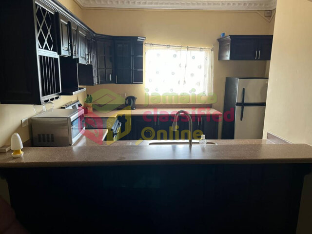 Furnished 1 Bedroom Apartment