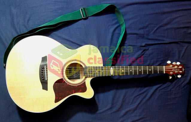 Electro Acoustic Guitar Strinberg