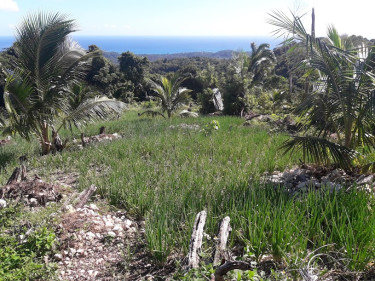 102 Land For Sale In St. Thomas