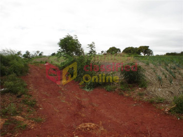 10+Acres LAND Land Junction/Todd-TOWN