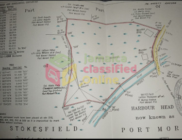 2.9 Acres Of Commercial/Residential Land In Square Land Port Morant