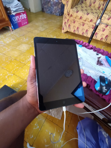 Ipad Mini  2012
