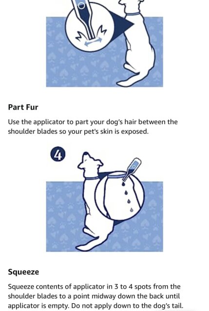 Pet Dog Flea Tick Treatment Application Monthly
