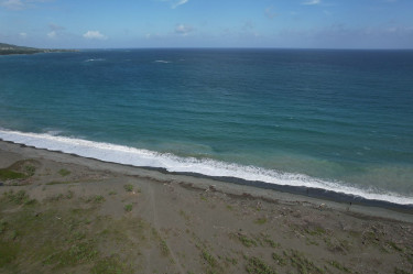 16 Acres Of Land (Morant Bay)