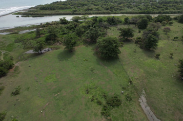 16 Acres Of Land (Morant Bay)