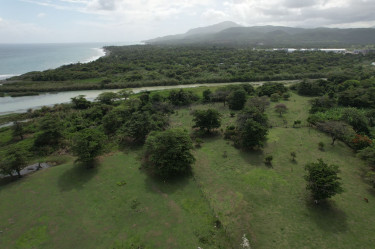 16 Acres Of Land (Morant Bay)
