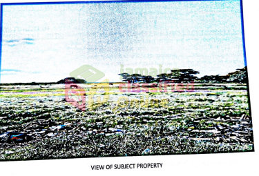 16 Acres Of Land (Morant Bay)