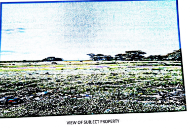 16 Acres Of Land (Morant Bay)
