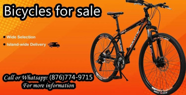 Bicycles For Sale 