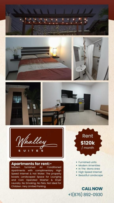 Furnished Modern 1 Bedroom Apartments