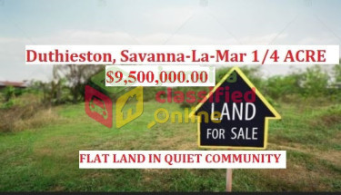 Duthieston, Savanna-La-Mar 1/4 ACRE JMD $9.5 MILL Land Savanna-La-Mar 