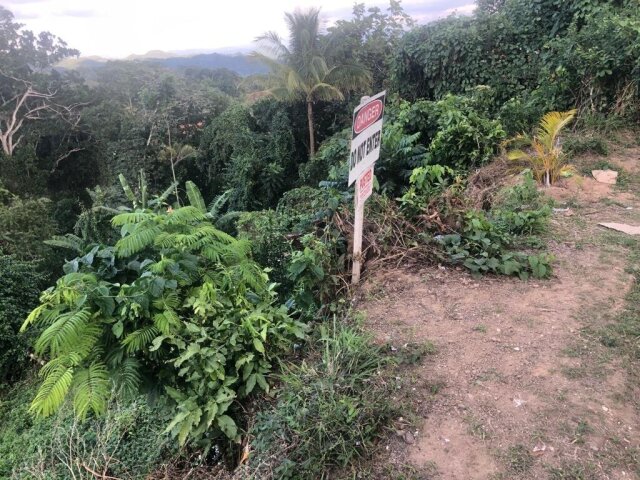 1 Acre Land Brown's Hall District