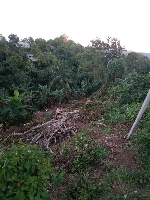 1 Acre