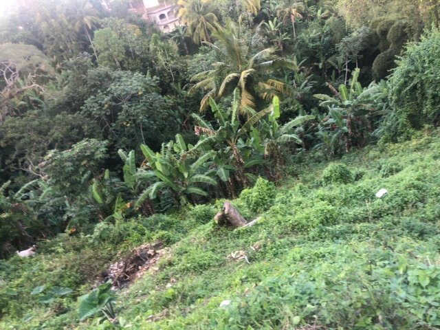 1 Acre