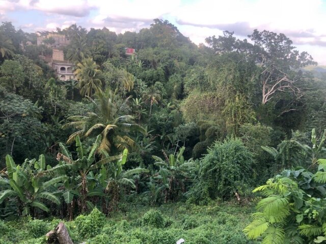 1 Acre