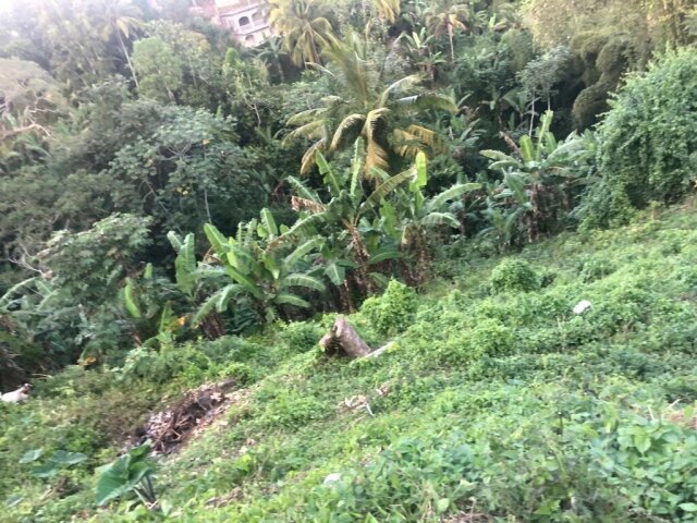 1 Acre